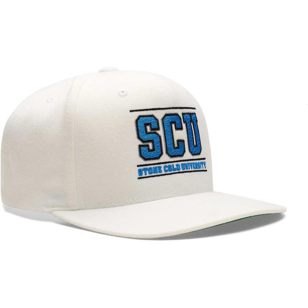 NWT Men's Stone Cold Steve Austin Snapback Hat
